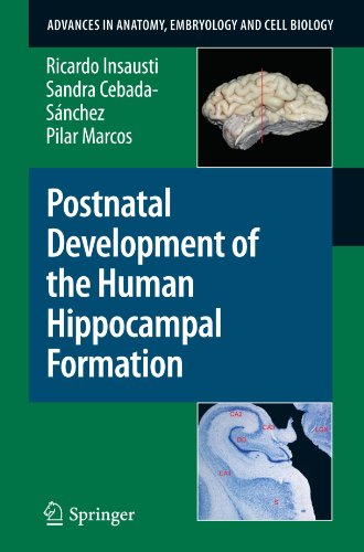 دانلود کتاب Postnatal Development of the Human Hippocampal Formation