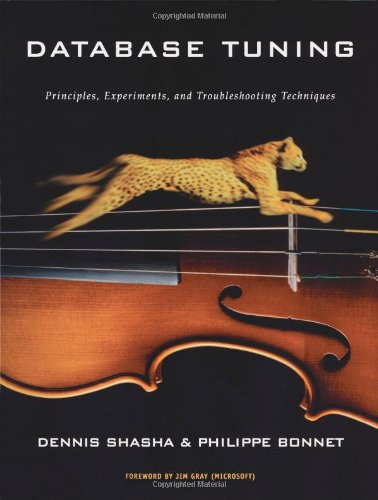 دانلود کتاب Database Tuning: Principles, Experiments, and Troubleshooting Techniques (The Morgan Kaufmann Series in Data Management Systems