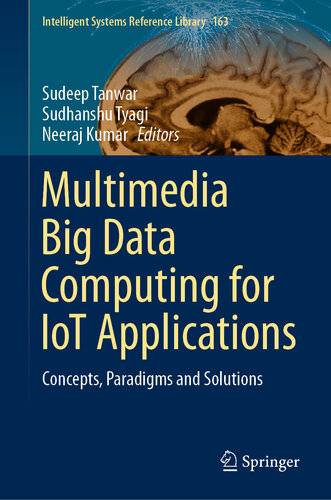 دانلود کتاب Multimedia Big Data Computing for IoT Applications: Concepts, Paradigms and Solutions