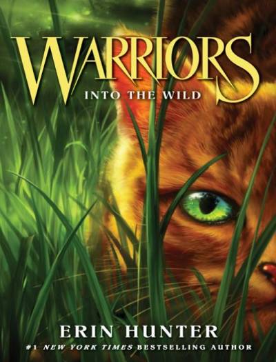 دانلود کتاب Into the Wild