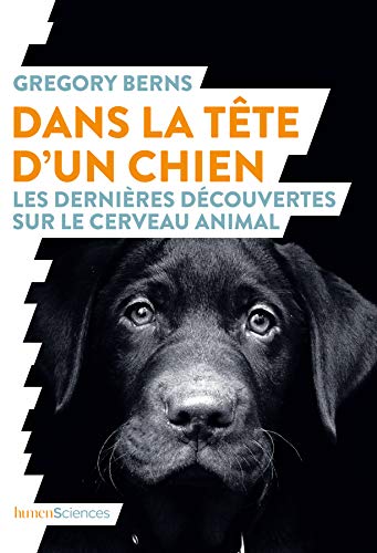 دانلود کتاب Dans la tête d’un chien