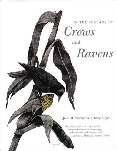 دانلود کتاب In the Company of Crows and Ravens