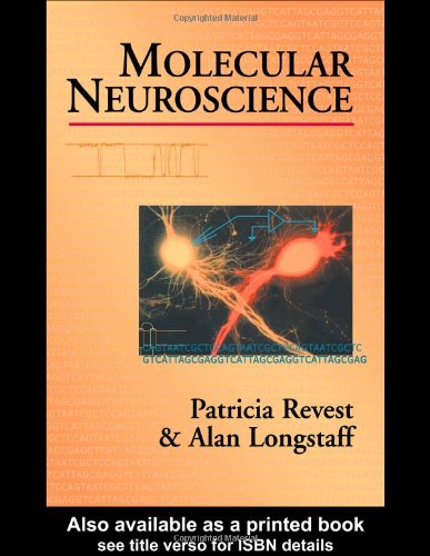 دانلود کتاب Molecular Neuroscience – 1 edition (May 1, 1998