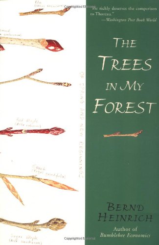 دانلود کتاب The Trees in My Forest