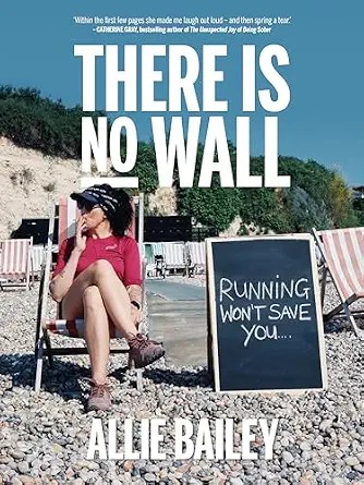 دانلود نسخه کامل کتاب زبان اصلی There is No Wall