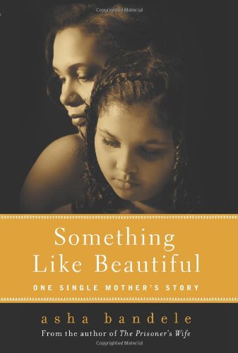 دانلود کتاب Something Like Beautiful: One Single Mother’s Story