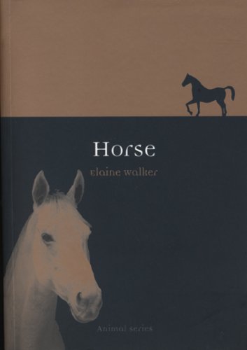 دانلود کتاب Horse