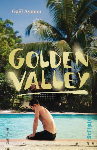 دانلود کتاب Golden Valley