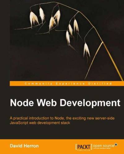 دانلود کتاب Node Web Development