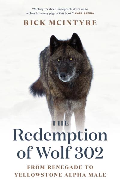 دانلود کتاب The Redemption of Wolf 302
