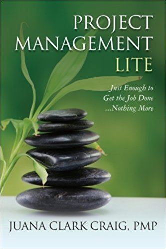 دانلود کتاب Project Management Lite: Just Enough to Get the Job Done…Nothing More