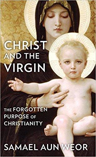 دانلود کتاب Christ and the Virgin: The Forgotten Purpose of Christianity