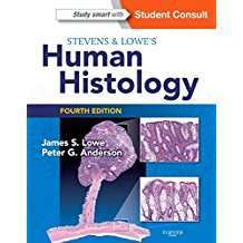 دانلود کتاب Stevens & Lowe’s Human Histology, 4e (HUMAN HISTOLOGY (STEVENS))