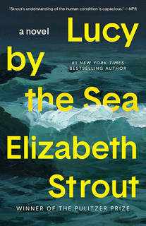 دانلود کتاب Lucy by the Sea Elizabeth Strout