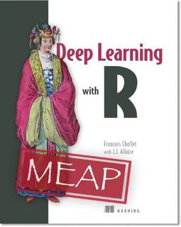دانلود کتاب Deep Learning with R