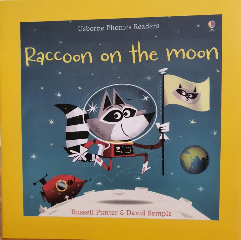 کتاب داستان Raccoon On The Moon