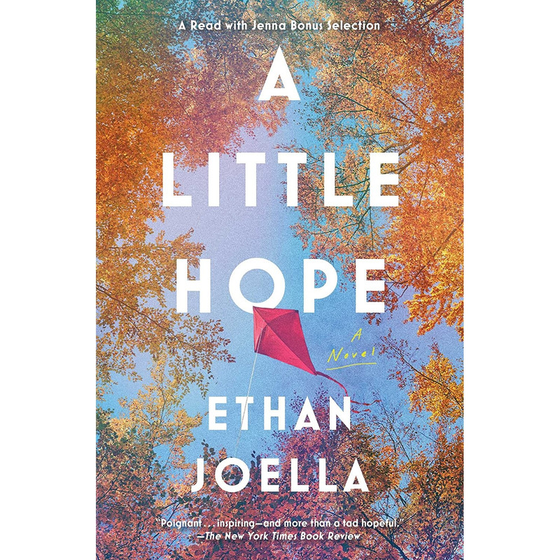 کتاب A Little Hope: A Novel اثر Ethan Joella انتشارات Scribner