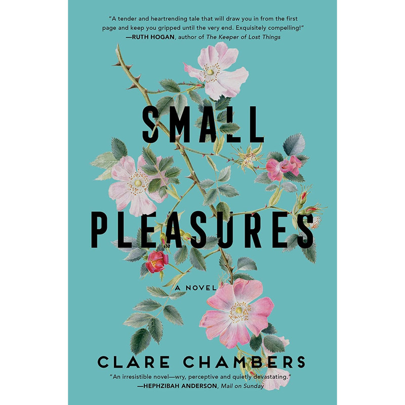 کتاب Small Pleasures اثر Clare Chambers انتشارات Mariner Books