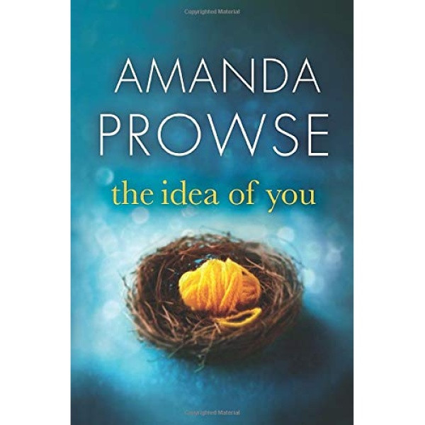 کتاب The Idea of You اثر Amanda Prowse انتشارات تازه ها