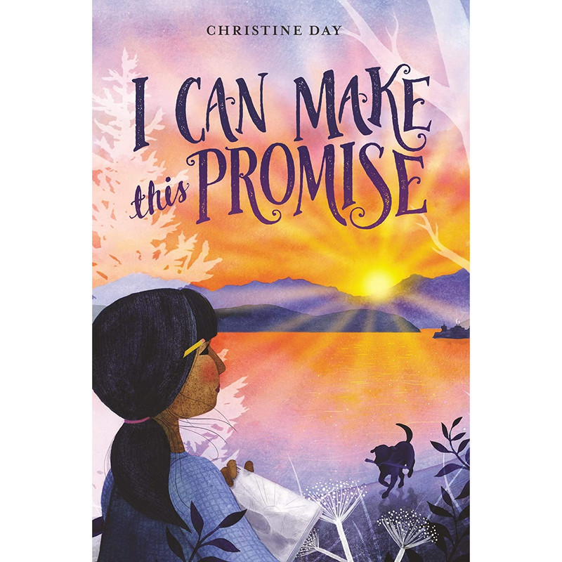 کتاب I Can Make This Promise اثر Christine Day انتشارات Heartdrum