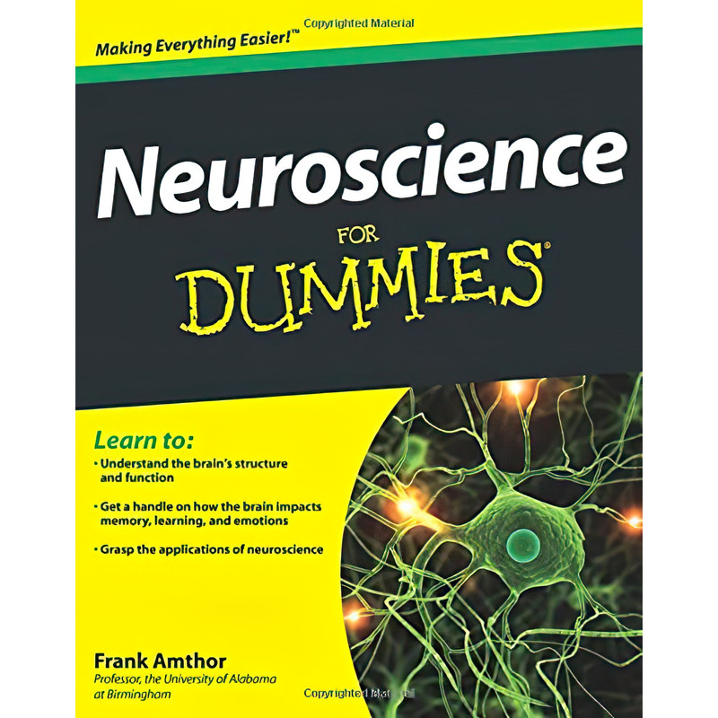 کتاب Neuroscience For Dummies اثر Frank Amthor انتشارات For Dummies
