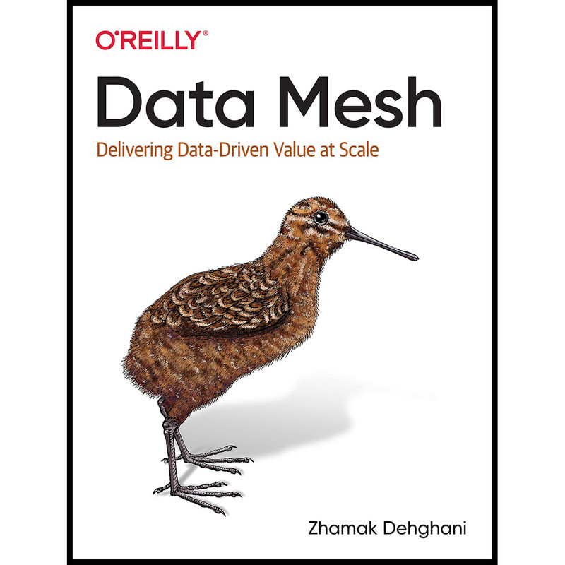 کتاب Data Mesh اثر Zhamak Dehghani انتشارات OReilly Media