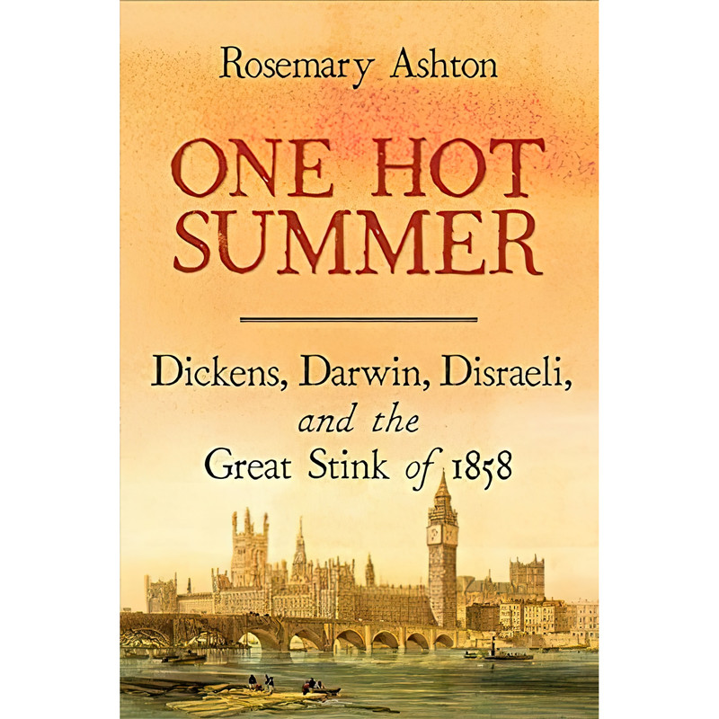 کتاب One Hot Summer اثر Rosemary Ashton انتشارات Yale University Press