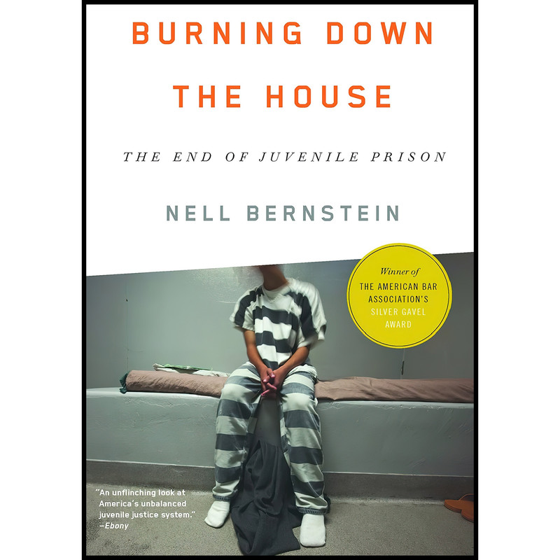 کتاب Burning Down the House اثر Nell Bernstein and Nell Bernstein انتشارات The New Press