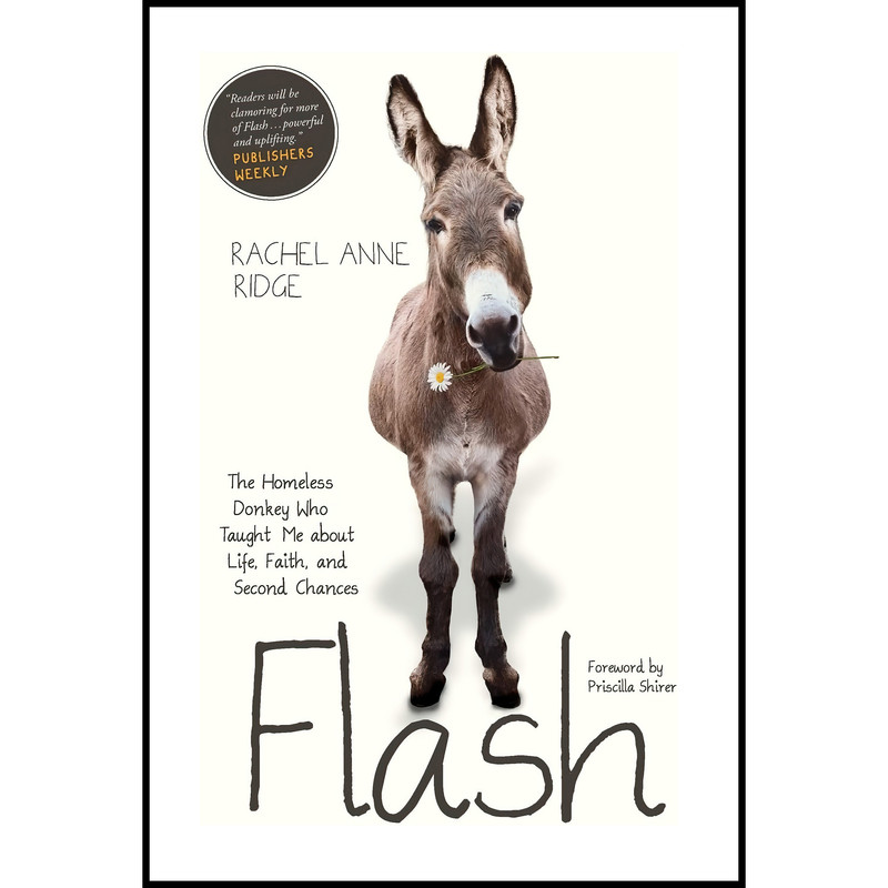 کتاب Flash اثر Rachel Anne Ridge and Priscilla Shirer انتشارات Tyndale Momentum