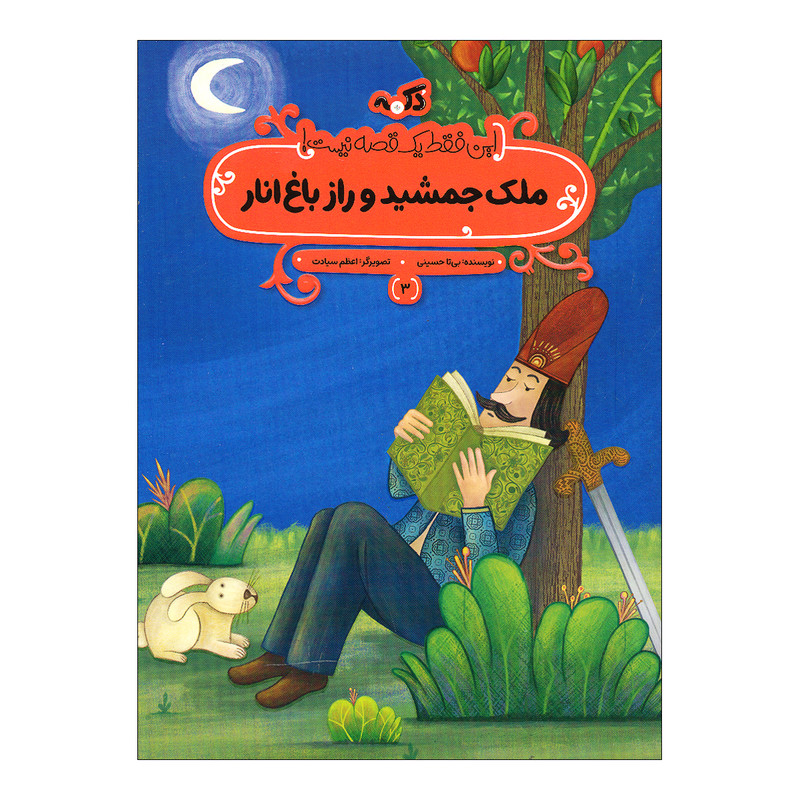 کتاب ملک جمشید و راز باغ انار اثر بی تا حسینی انتشارات پی نما
