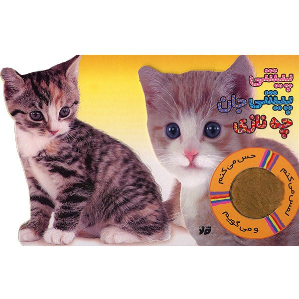 کتاب پیشی پیشی جان چه نازی اثر تیرداد