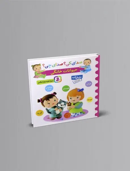 صداي كي صداي چي (آلات موسيقي)