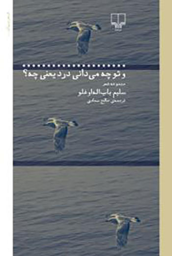 کتاب و تو چه می دانی درد یعنی چه