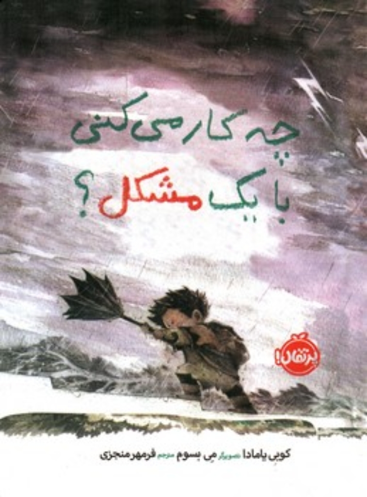 چه کار می کنی با یک مشکل؟ (رحلی-شمیز)
