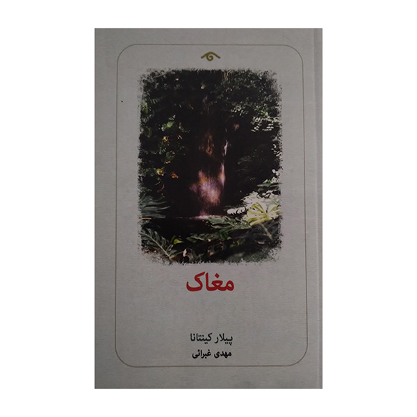 کتاب مغاک اثر پیلار کینتانا نشر دیدآور