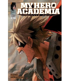 MY HERO ACADEMIA vol 7