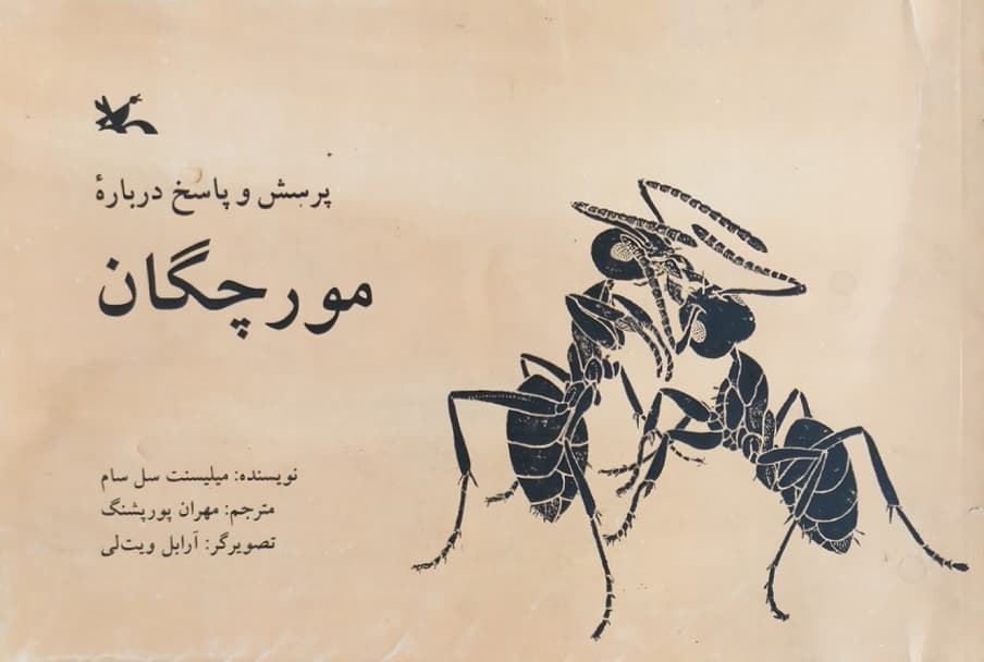 پرسش و پاسخ درباره مورچگان