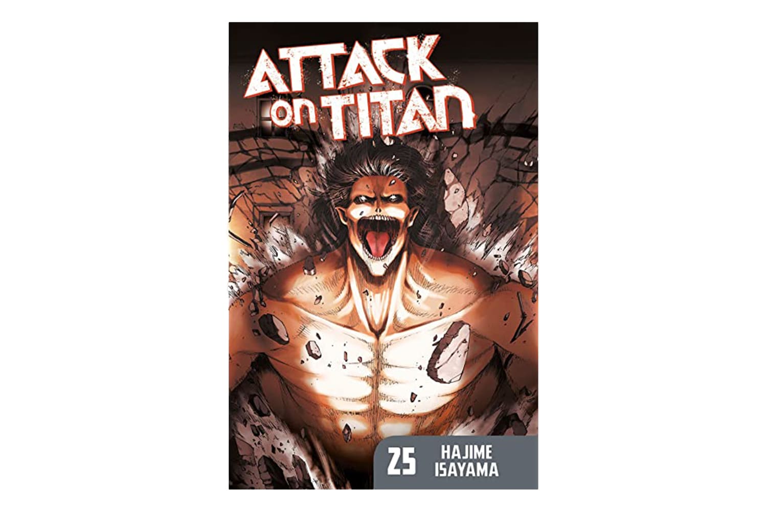 کتاب حمله به تایتان 25 (Attack on Titan)